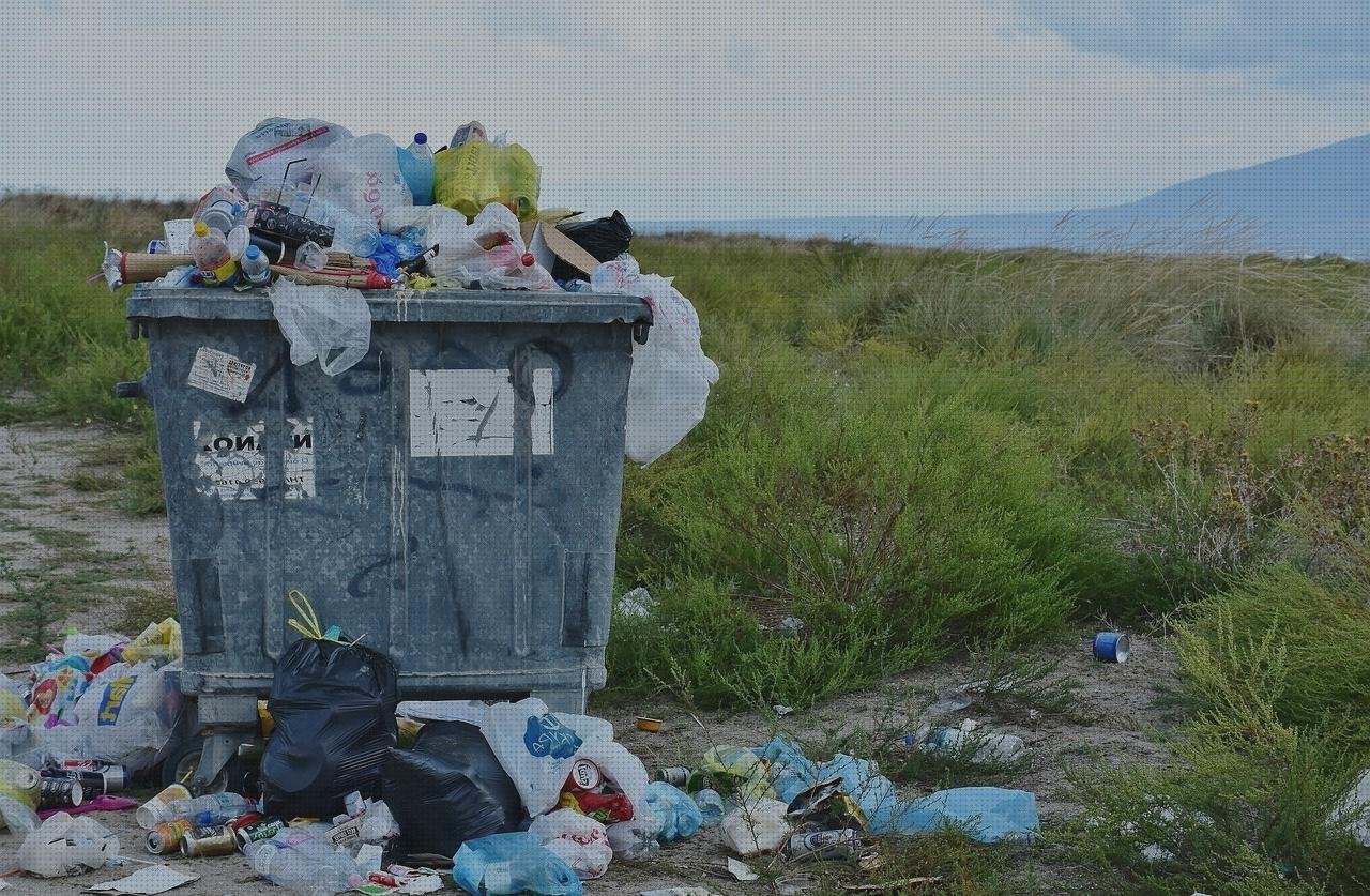 Las mejores 4 Bolsa De Plástico Con Asas