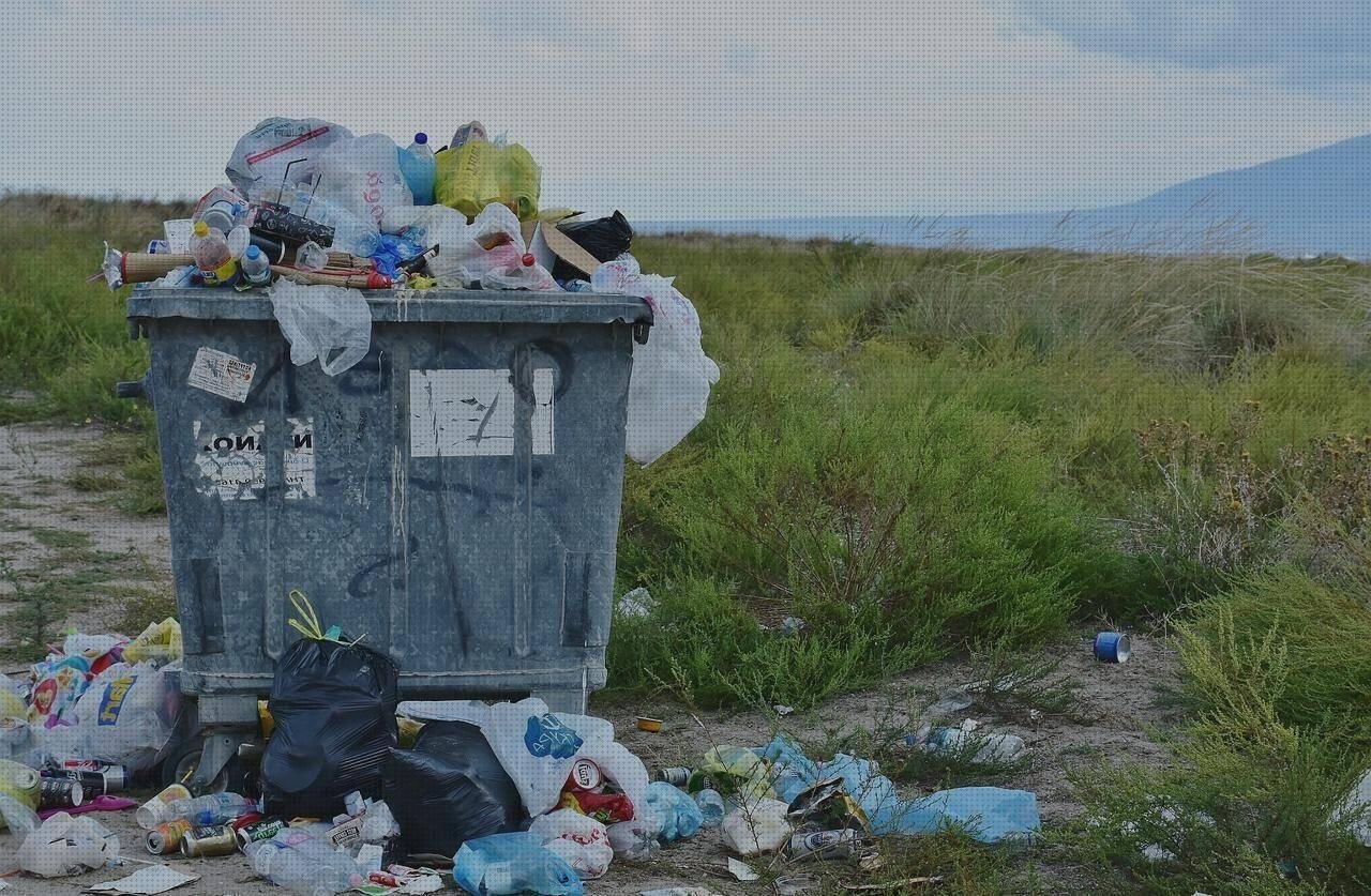 Las 25 Mejores Bolsas De Plásticos Asas