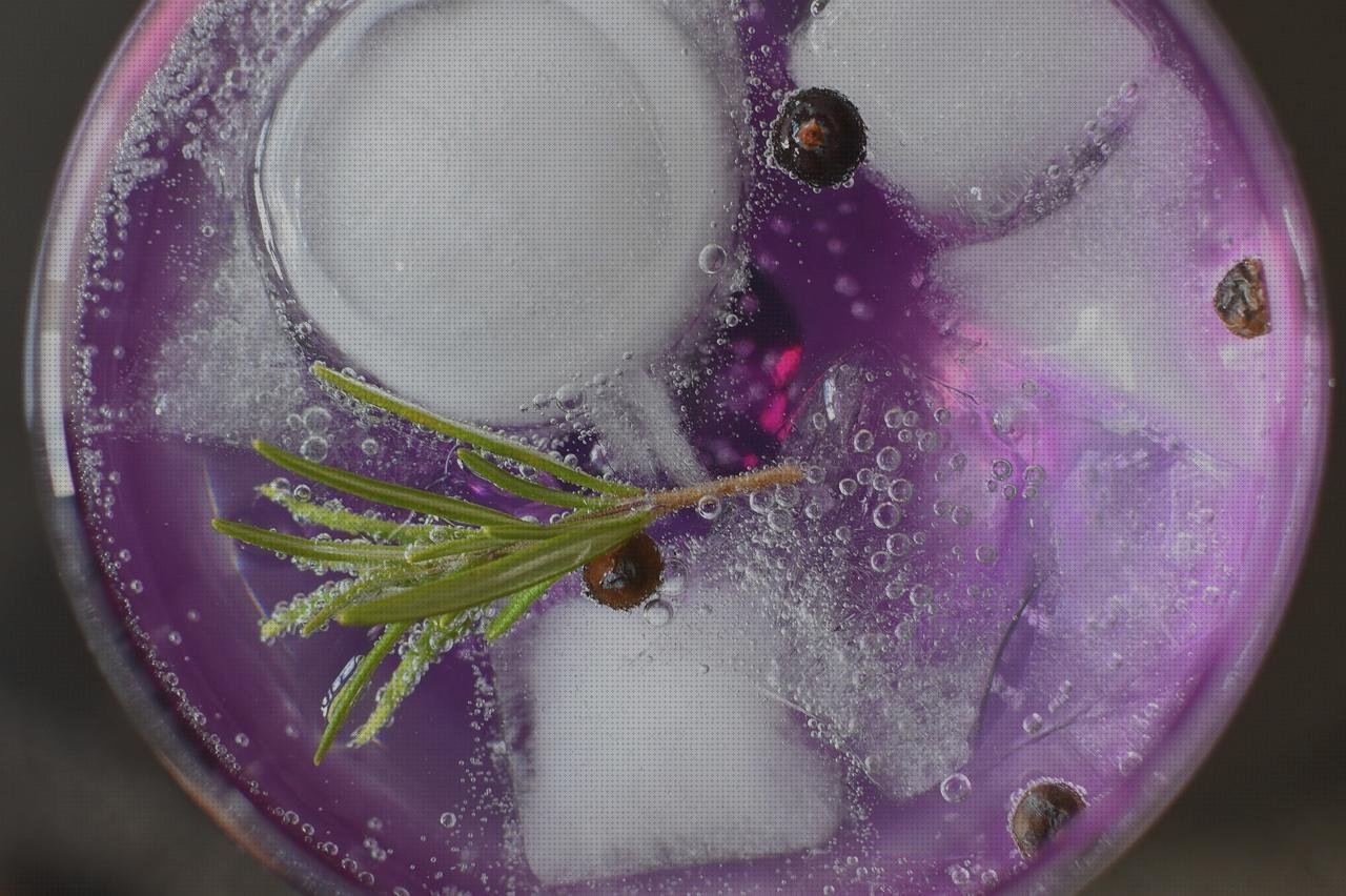 Las 10 Mejores Copas Gin Tonic De Policarbonato