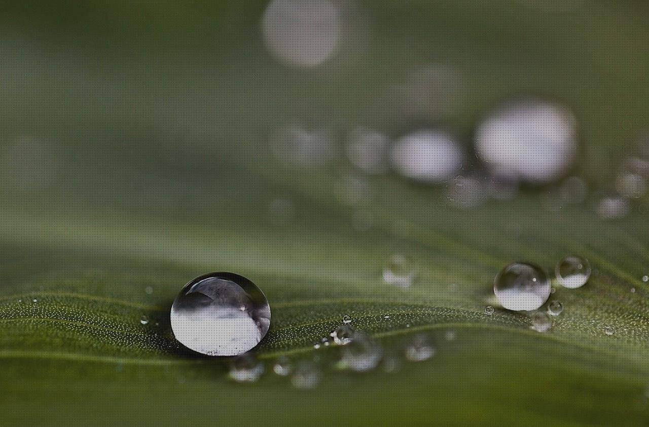 Review de esfera de plástico transparente