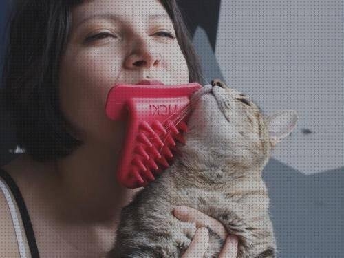 ¿Dónde poder comprar lengua de silicona Más sobre pasta de silicona Más sobre caca plástico lengua de gato silicona?
