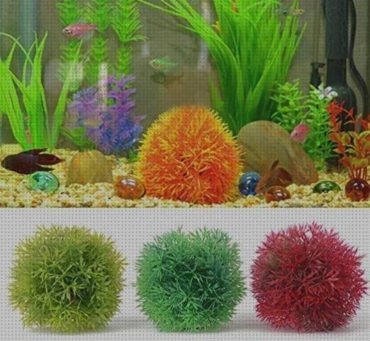 Los 7 Mejores Pescera Redondas De Plásticos