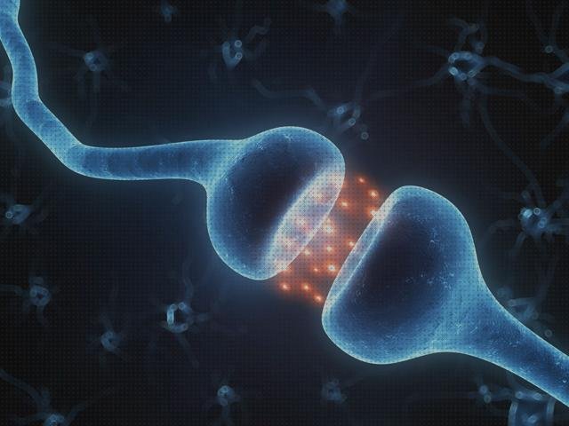 Las mejores 5 Plasticidad Nerviosas Y Neurogenesis