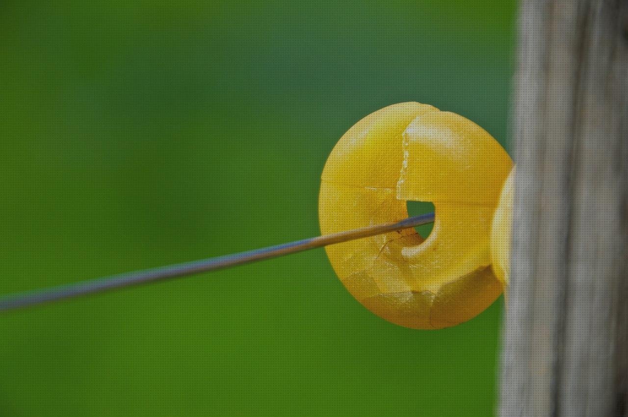 Las mejores plastico plastico aislante