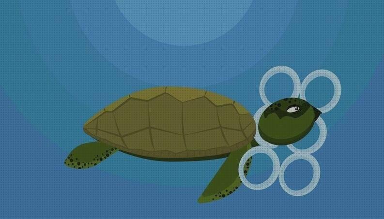 ¿Dónde poder comprar tortuga con aro de plastico?